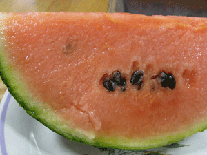 d0050871_1757970.gif
