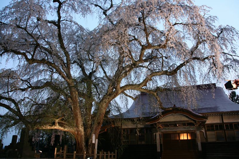 c0148781_1018205.jpg