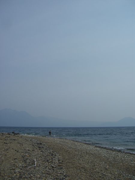 b0000885_19315598.jpg