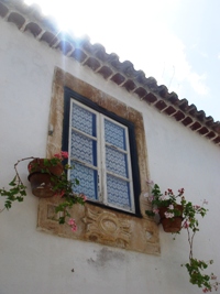 f0051186_2491823.jpg