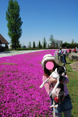 c0092787_8275316.jpg