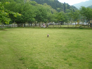 e0123587_1828030.jpg