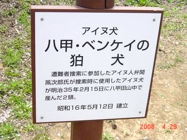 a0007388_1492842.jpg