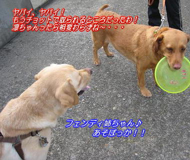 c0028792_22485233.jpg