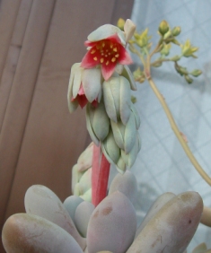 e0111793_2312236.jpg
