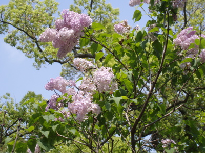 f0130894_18504885.jpg