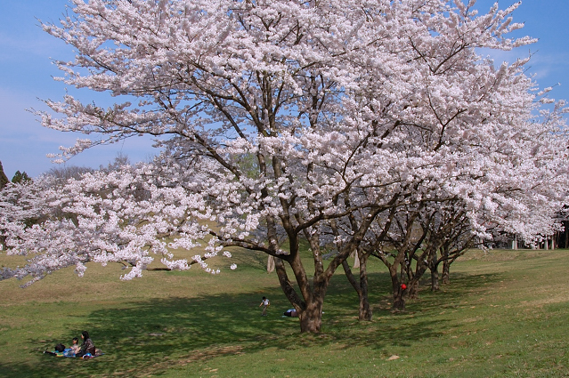 c0134295_1594347.jpg