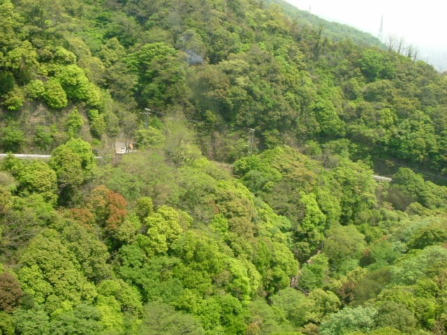b0044296_20392450.jpg