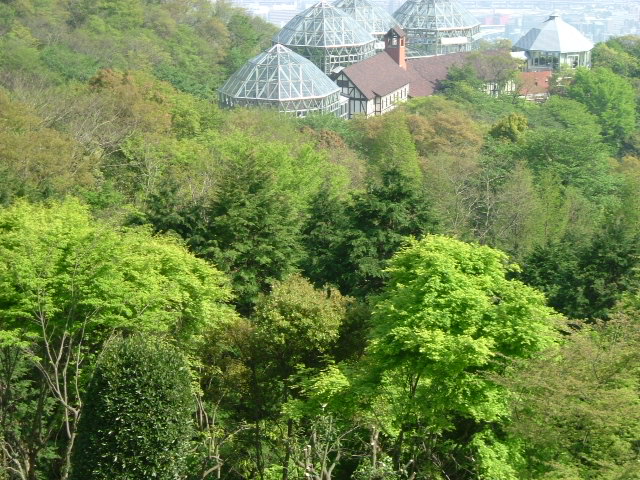 b0044296_20422631.jpg