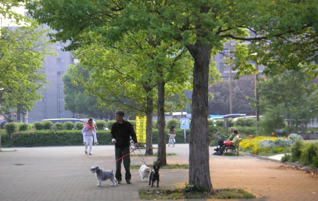 c0138198_8491045.jpg