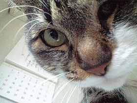 c0035001_1343957.jpg