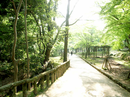 d0100502_2094279.jpg