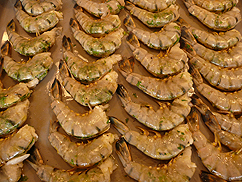 b0014003_14211812.jpg