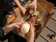 b0014003_1421196.jpg