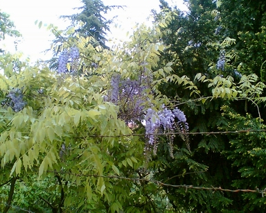 f0021504_3373897.jpg