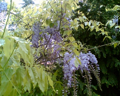 f0021504_33854100.jpg