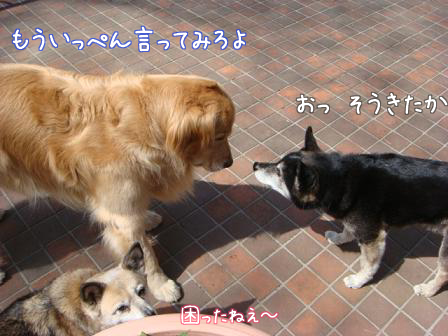 f0064906_19253691.jpg