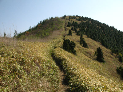 b0014607_20144953.jpg