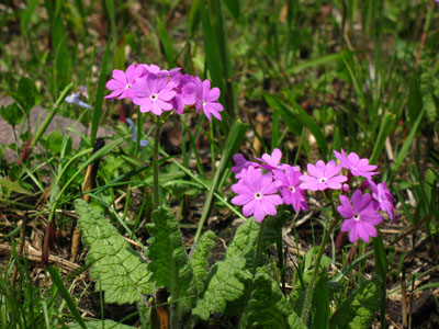 b0014607_20204134.jpg