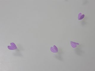 b0061107_2361330.jpg