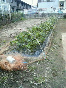 f0127408_215523.jpg