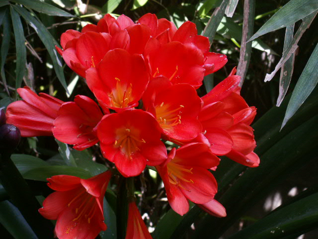 c0067209_22411013.jpg