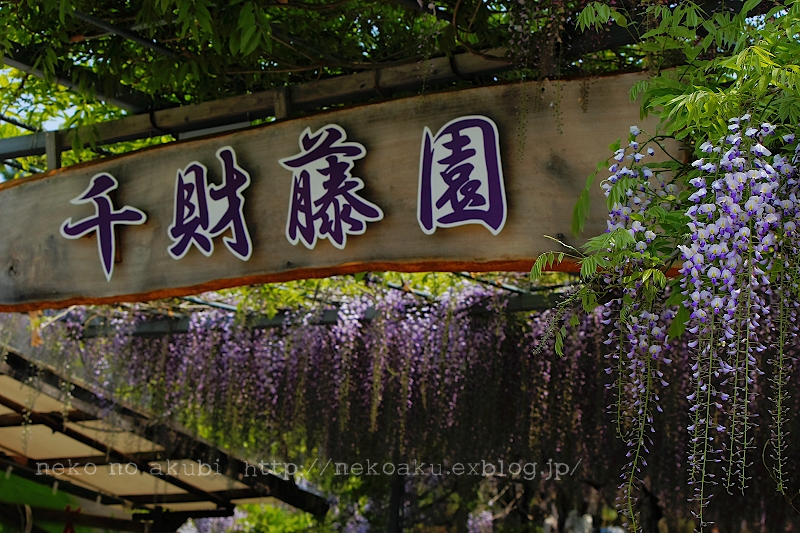 b0003512_21511856.jpg