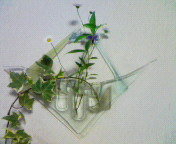f0041113_10151889.jpg