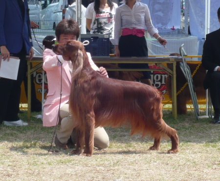 f0083013_1427997.jpg