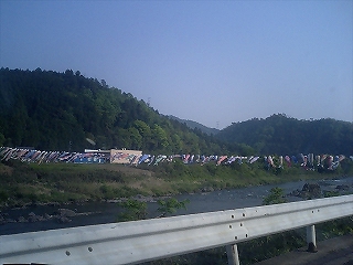 a0059315_2325948.jpg