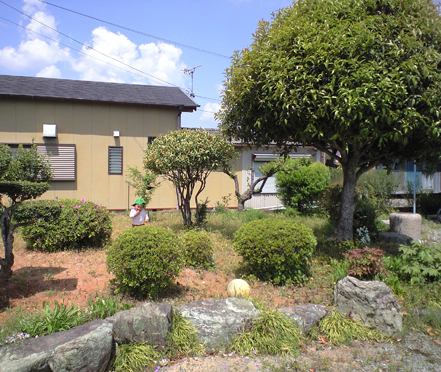 d0129922_0405850.jpg