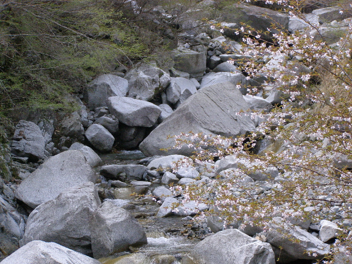 f0103126_21234293.jpg