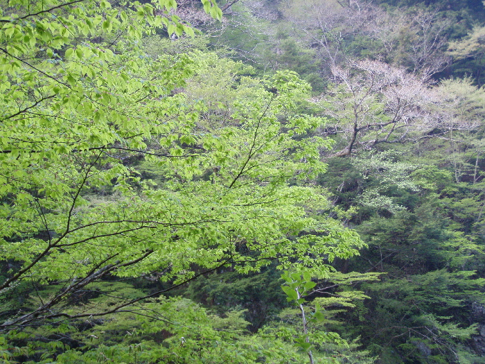 f0103126_21311671.jpg