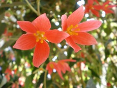 c0081227_4215572.jpg