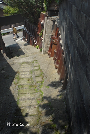 f0078127_814673.jpg