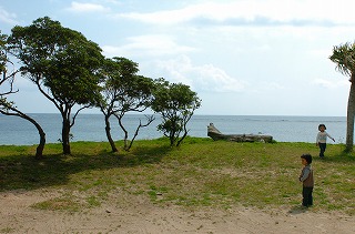 a0092129_7473380.jpg