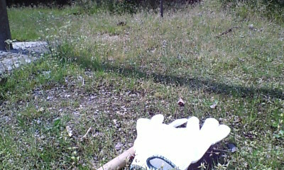 f0071731_11342348.jpg