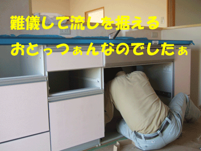 f0008935_334219.gif