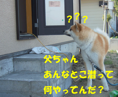 f0008935_334479.gif