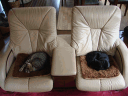 c0136736_22255914.gif