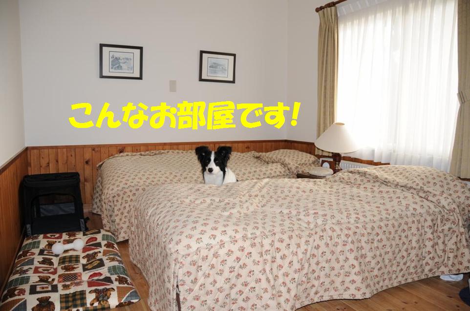 c0147241_816158.jpg