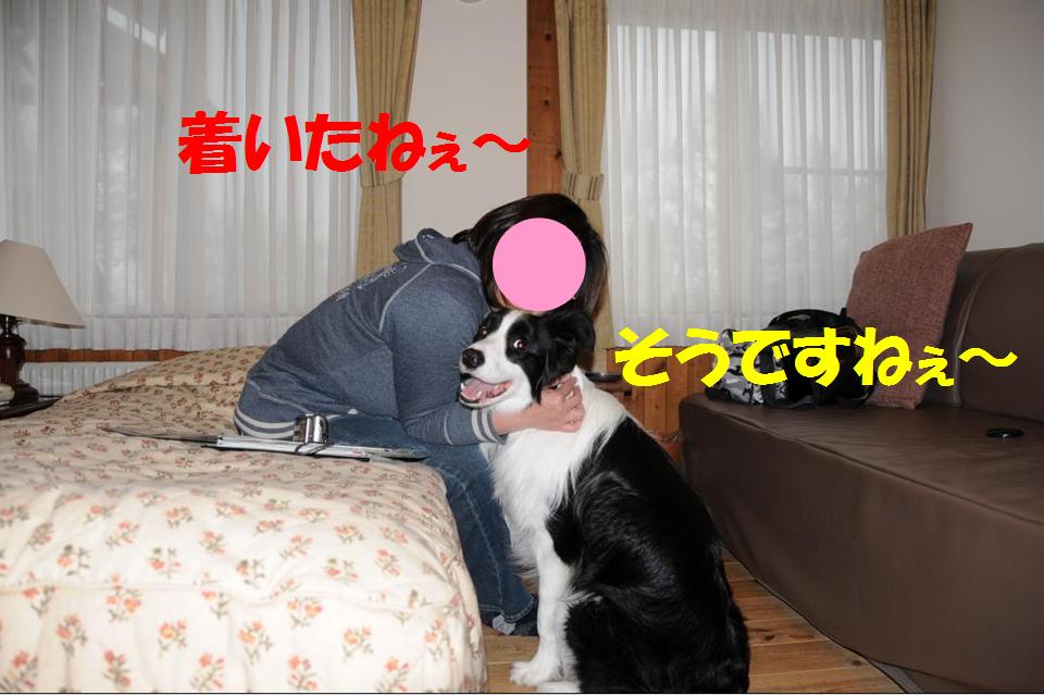 c0147241_8164515.jpg