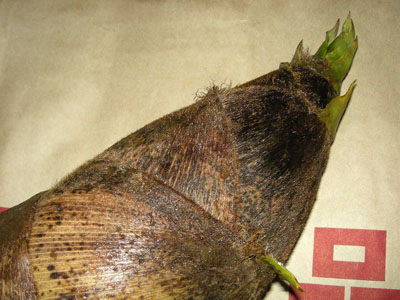 c0096342_23501833.jpg