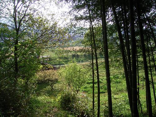 c0072843_18311924.jpg