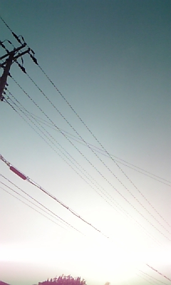 e0106349_1513268.jpg