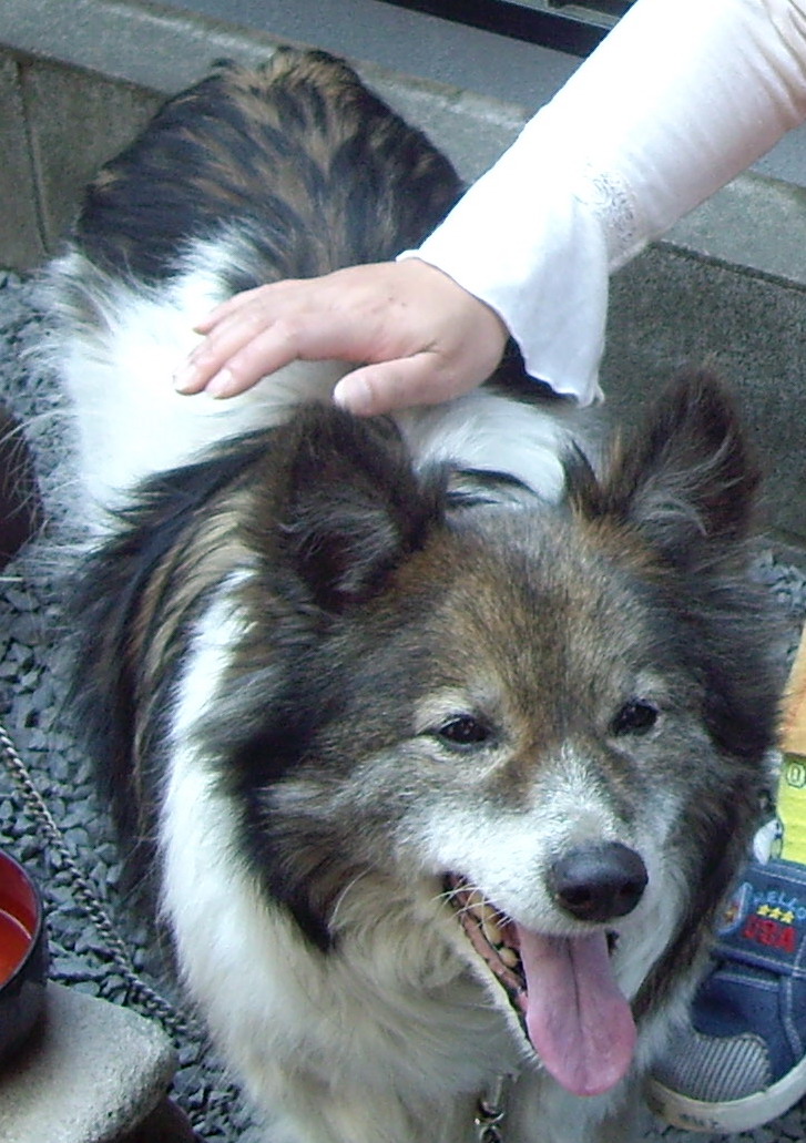 a0009750_017168.jpg