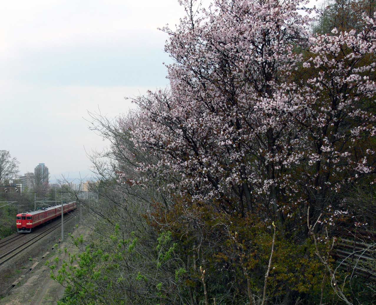 f0027355_2320515.jpg
