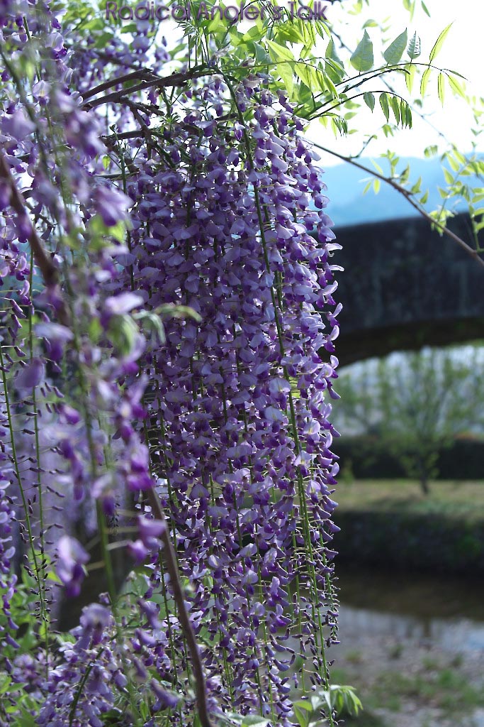 b0032262_2154475.jpg