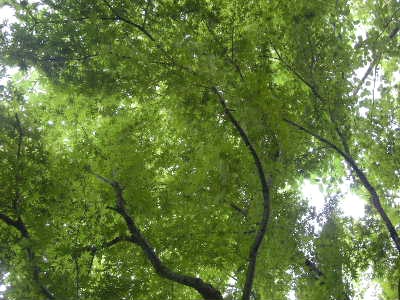 e0086864_23342929.jpg