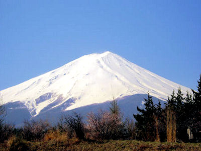 f0107364_1226197.jpg